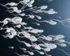 Tuesday 24 May 2022 06:07 PM Losing weight can help men DOUBLE their sperm count, study claims trends now