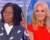 Wednesday 25 May 2022 02:40 AM Whoopi Goldberg Chastises View Crowd For Booing Kellyanne Conway after exchange ... trends now