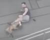 Wednesday 25 May 2022 08:58 AM Moment bystander was attacked by crazed dog at London train station as woman, ... trends now