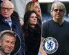 sport news Chelsea chairman Bruce Buck 'will earn £30m from takeover with Marina ... trends now