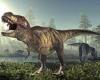 Wednesday 25 May 2022 04:10 PM T. rex was WARM-blooded, study finds trends now