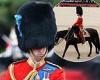 Saturday 28 May 2022 11:31 PM Was Prince William's horse drugged at Trooping the Colour rehearsals, asks ... trends now