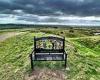 Saturday 28 May 2022 10:55 AM Council tells dead Royal Marine family to remove memorial bench because they ... trends now