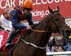 sport news Robin Goodfellow's racing tips: Best bets for Friday, June 3 trends now