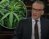 Saturday 4 June 2022 01:55 PM Bill Maher predicts Republicans will 'steal' the marijuana debate and make it ... trends now