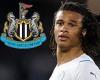 sport news Man City 'will demand £50m from Newcastle for centre-back Nathan Ake' As Eddie ... trends now