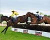 sport news Robin Goodfellow's racing tips: Best bets for Tuesday, June 7 trends now