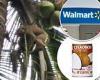 Tuesday 7 June 2022 08:58 PM Walmart stops selling Chaokoh coconut milk after Peta accuses supplier of using ... trends now