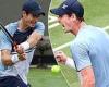 sport news Andy Murray makes successful return to grass in Stuttgart with stylish win over ... trends now