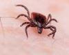 Wednesday 8 June 2022 11:04 PM Connecticut woman in her 90s dies after testing positive for rare tick-borne ... trends now