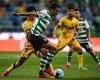 sport news Wolves keen on signing £17million-rated Joao Palhinha from Sporting Lisbon ... trends now
