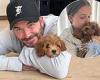 Saturday 11 June 2022 04:28 PM Victoria Beckham gushes over adorable new pup Simba - as David, Romeo and ... trends now