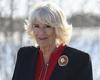 Sunday 12 June 2022 01:28 AM Duchess of Cornwall believes more children should learn poems by heart as ... trends now