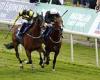 sport news Robin Goodfellow's racing tips: Best bets for Monday, June 13 trends now