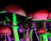 Tuesday 14 June 2022 12:07 AM Could magic mushrooms help curb fear of death in care homes? trends now