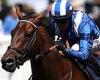 sport news Brilliant Baaeed can't dodge Frankel comparisons after extending run to eight ... trends now