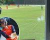 sport news Netherlands set England a target of 236 in rain-shortened second ODI trends now