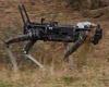 Tuesday 21 June 2022 07:10 AM Australian soldiers control ghost robot dogs with their minds using new UTS ... trends now