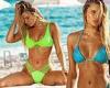 Friday 24 June 2022 07:36 PM Josie Canseco looks stunning in new bikini campaign for Luli Fama Swimwear trends now