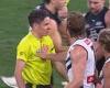 sport news Fremantle superstar Nat Fyfe SHOVES one umpire and mistakes another for ... trends now