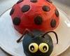 Saturday 25 June 2022 05:57 PM Jacinda Ardern makes a ladybug cake for daughter Neve's fourth birthday trends now