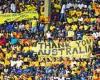 sport news Sri Lankan fans make STUNNING gesture to Aussie cricketers at one-dayer in ... trends now