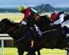sport news Robin Goodfellow's racing tips: Best bets for Monday, June 28 trends now