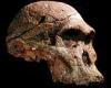 Monday 27 June 2022 08:12 PM Fossils in the 'Cradle of Humankind' are one MILLION years older than ... trends now