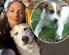 Tuesday 28 June 2022 01:27 PM Alesha Dixon shares heartfelt tribute as her beloved rescue dog Daisy dies trends now
