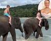 Wednesday 29 June 2022 11:39 PM Roxy Jacenko breaks her silence after being branded 'cruel' for elephant ride trends now