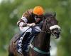 sport news Robin Goodfellow's racing tips: Best bets for Friday, July 1 trends now