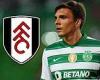 sport news Joao Palhinha is finally set to sign for Fulham on a £17m deal from Sporting ... trends now