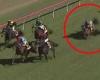 Sunday 3 July 2022 12:42 PM Female Jockey Leah Kilner thrown off a horse in a coma: Grafton racing NSW trends now