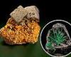 Monday 4 July 2022 04:45 PM Scientists decipher the unique origins of Earth's minerals in landmark study trends now