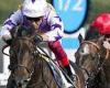 sport news Robin Goodfellow's racing tips: Best bets for Thursday, July 7 trends now