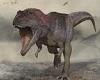 Thursday 7 July 2022 04:27 PM Fossil of new dinosaur with short forearms suggests they could have provided ... trends now