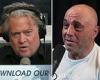 Thursday 7 July 2022 07:45 PM Steve Bannon dismisses Joe Rogan for saying he would never have Trump on his ... trends now