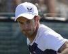 sport news Andy Murray fights back to beat Max Purcell and reach quarter-finals of the ... trends now