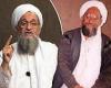 Tuesday 2 August 2022 05:36 PM How death of al-Zawahiri means that ALL 9/11 plotters have been killed or ... trends now