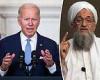 Wednesday 3 August 2022 06:03 PM Biden sold America on the false narrative that Al Qaeda was 'gone' from ... trends now