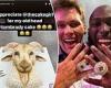 sport news Tom Brady receives hilarious cake from Bucs' Leonard Fournette as the GOAT ... trends now