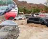 Saturday 6 August 2022 09:13 PM Flash flooding leaves A THOUSAND people stranded in Death Valley National Park trends now