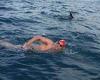 Saturday 6 August 2022 07:43 PM British swimmer SAVED from shark after brave pod of dolphins form protective ... trends now