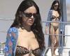 Sunday 7 August 2022 03:31 AM Eiza Gonzalez shows off her eye-catching physique in a bikini while spending ... trends now