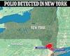 Tuesday 9 August 2022 10:34 PM CDC deploys team to investigate NY polio outbreak: trends now