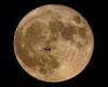 Tuesday 9 August 2022 05:01 PM Final supermoon of the year will peak on Thursday appearing up to 30% bigger ... trends now