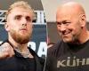 sport news Dana White insists UFC fighters 'get paid what they're supposed to'...Jake Paul ... trends now