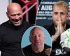 sport news Jake Paul SLAMS Dana White for stating increase in fighter pay is 'never gonna ... trends now