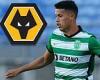 sport news Wolves hold positive discussions with Sporting Lisbon over £38m deal for ... trends now