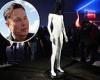 Tuesday 16 August 2022 09:40 PM Elon Musk says Tesla's Optimus humanoid robot will eventually cost 'less than a ... trends now